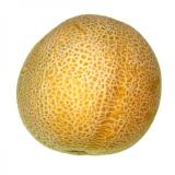 Honigmelone, Galia