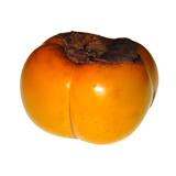 Kaki