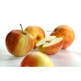 Apfel, Jonagold