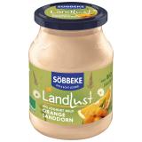 Fruchtjoghurt Sanddorn-Orange