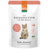 Nassfutter Katze Lachs