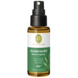 Atmewohl Kissenspray bio 30 ml