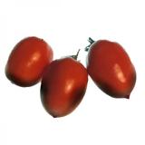 Tomate, Roma
