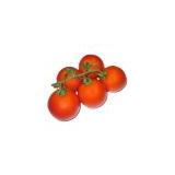 Tomate, Strauchtomate