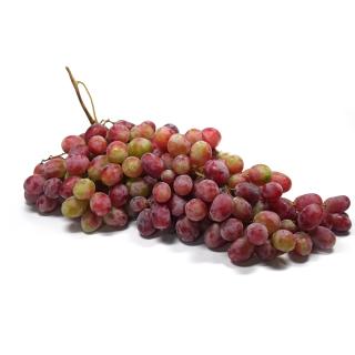 Traube rot kernlos