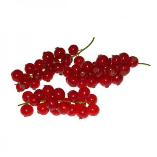 Johannisbeeren rot