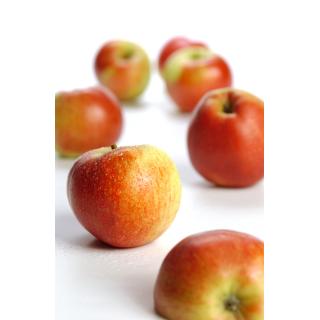 Apfel, Marnica
