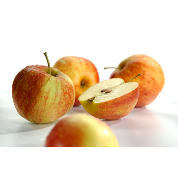 Apfel, Jonagored