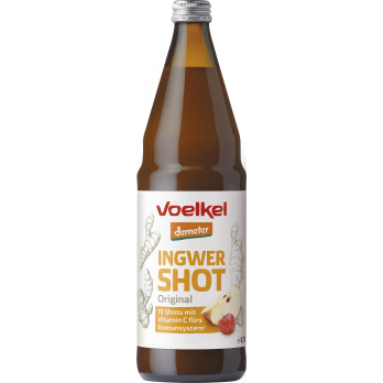 Shot Ingwer 15x50