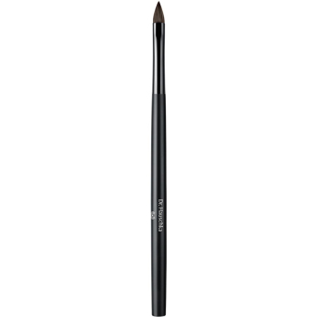 Lip Brush