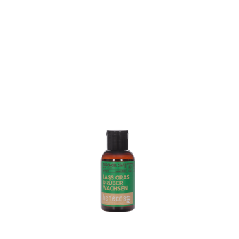 KG Duschgel 2in1 Hanf