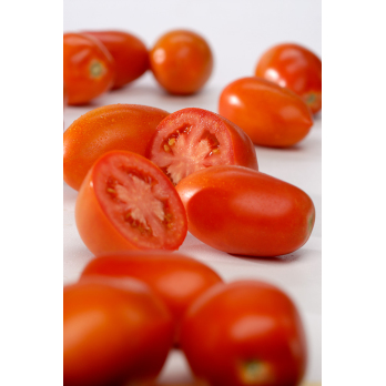 Tomate, Roma