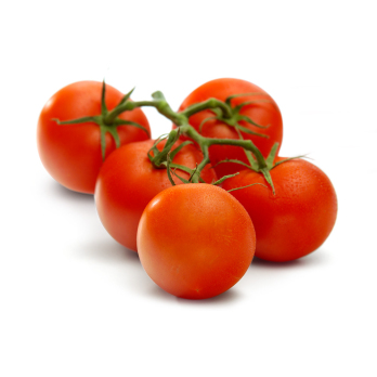 Tomate, Strauchtomate
