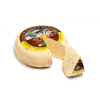 Aurora Gold Steinpilz