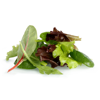 Salat, Winterschnitt