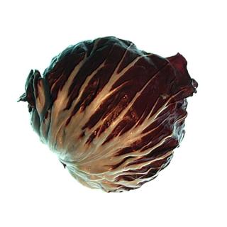Radicchio