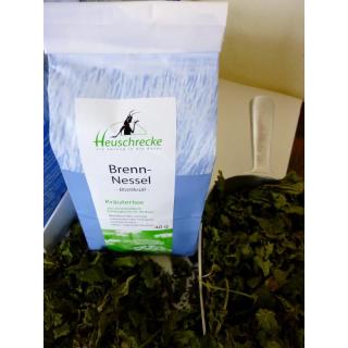 Brennessel geschnitten