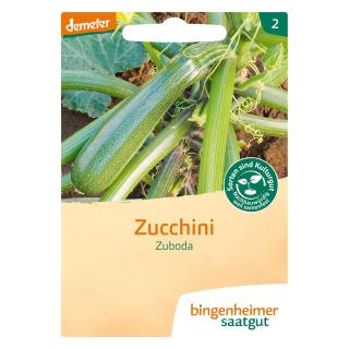 Zucchini