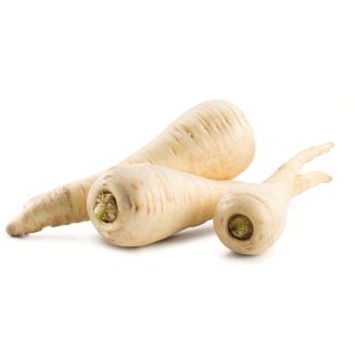 Pastinaken, Samenfest