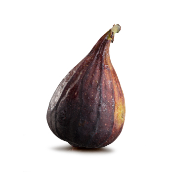 Feigen