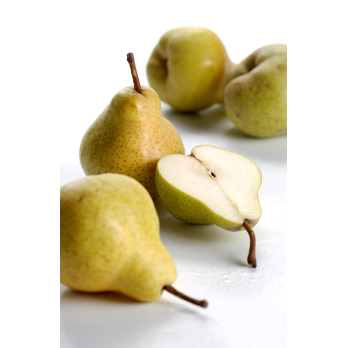 Birne D''Anjou