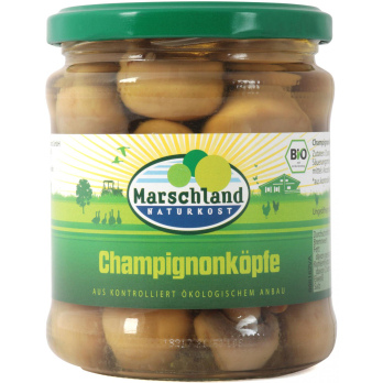 Champignons Köpfe