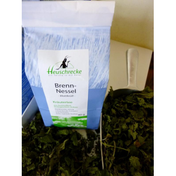 Brennessel geschnitten