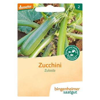 Zucchini