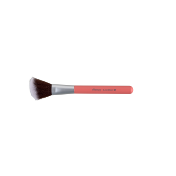 Rouge Brush Colour Edition