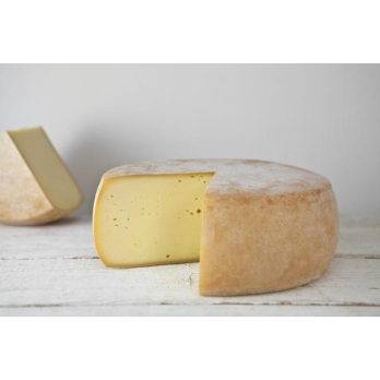 Deichkäse alt, 12 Monate