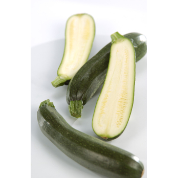 Zucchini