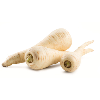 Pastinaken, Samenfest